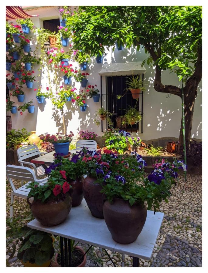 Casa Rural "Laplaza23" Herrera del Duque Εξωτερικό φωτογραφία