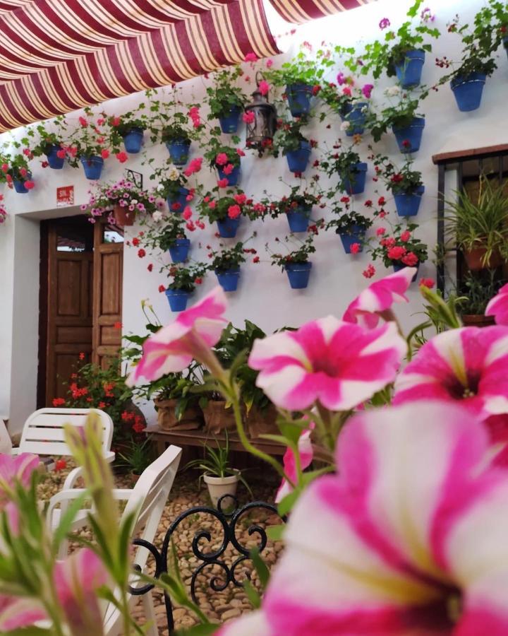 Casa Rural "Laplaza23" Herrera del Duque Εξωτερικό φωτογραφία