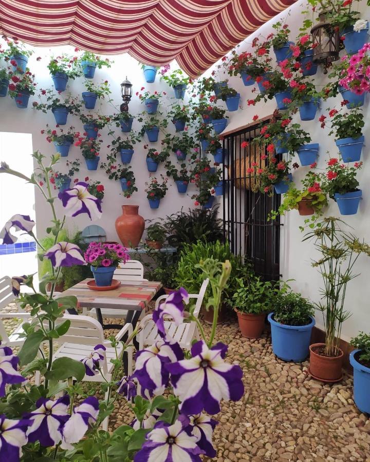 Casa Rural "Laplaza23" Herrera del Duque Εξωτερικό φωτογραφία